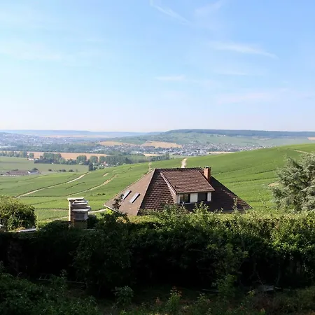 Le Sarment - Hautvillers Exterior foto