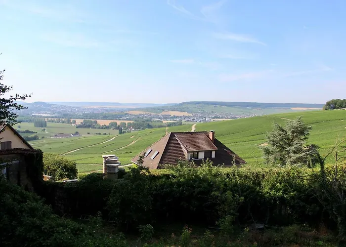 Le Sarment - Hautvillers