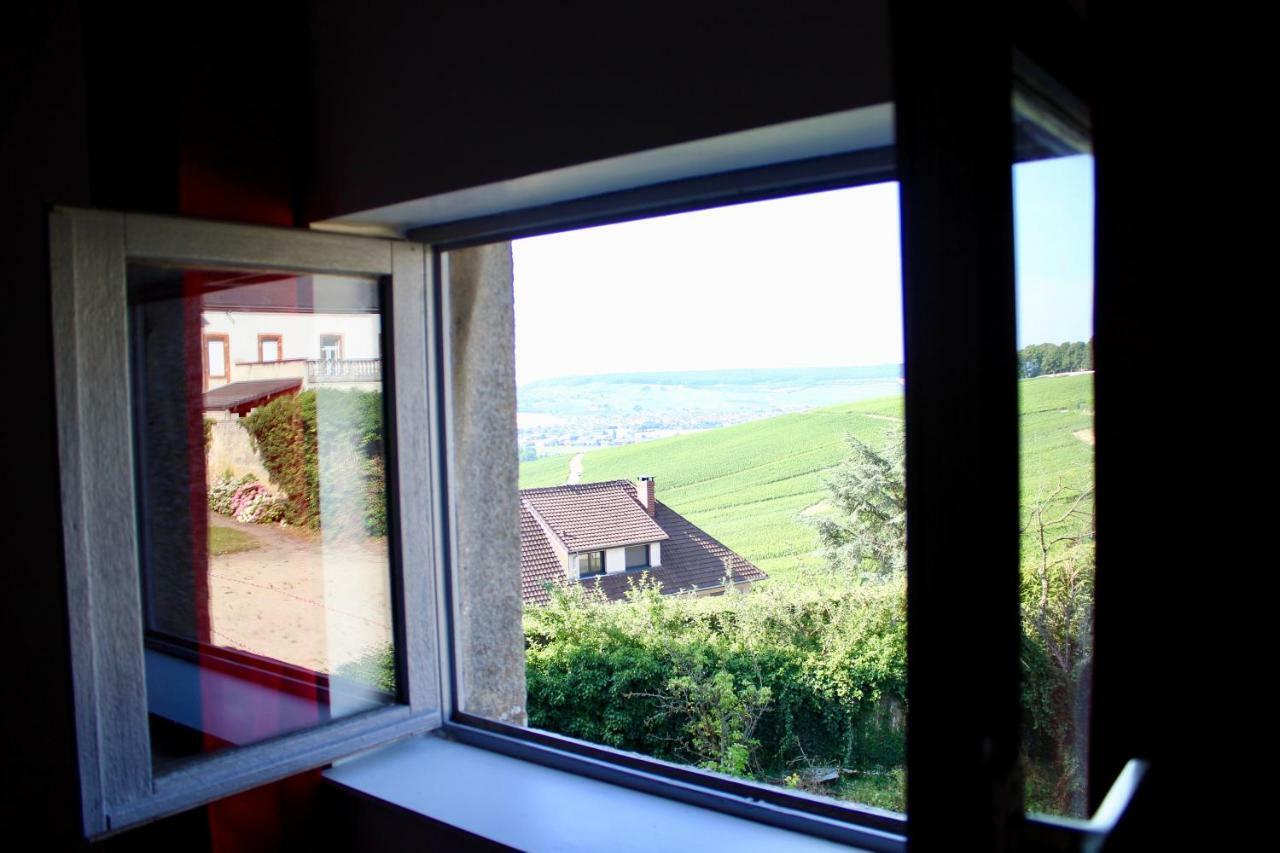 Holiday home Le Sarment - Hautvillers
