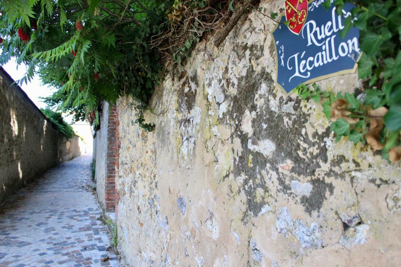 Le Sarment -